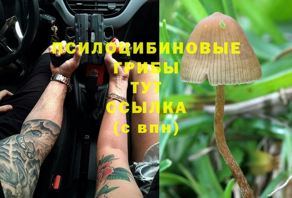 MESCALINE Нязепетровск