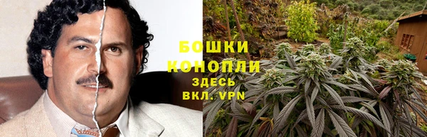 гашик Баксан