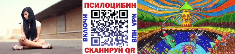 Галлюциногенные грибы мицелий  omg ссылки  Славгород 