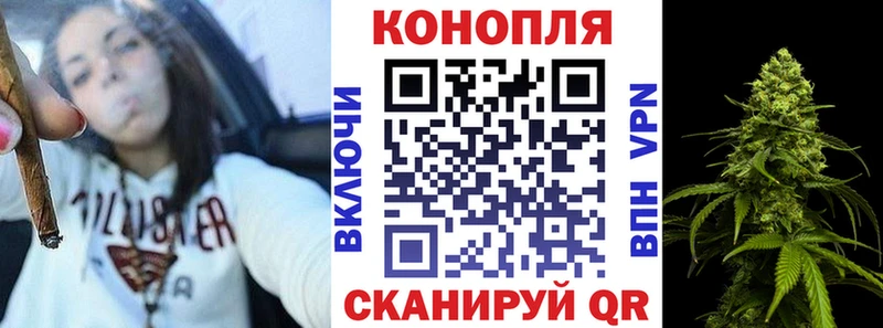 купить закладку  Славгород  Шишки марихуана ГИДРОПОН 